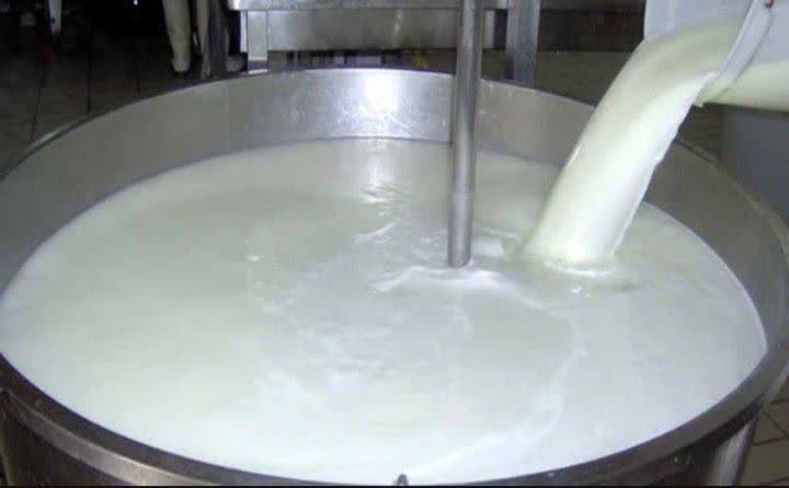 خرید ۳۹ میلیارد تومان شیر از دامداران فومن